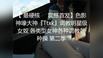 【 最硬核❤️震撼首发】色影神壕大神『Ttxk』调教明星级女奴 各类型女神各种调教各种操 第二季