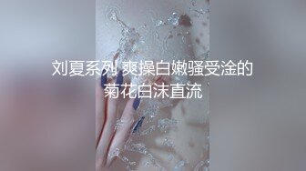 我的小母狗们·