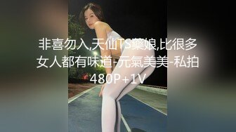 非喜勿入,天仙TS藥娘,比很多女人都有味道-元氣美美-私拍480P+1V