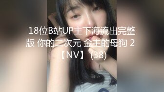 18位B站UP主下海流出完整版 你的二次元 金主的母狗 2 【NV】 (38)