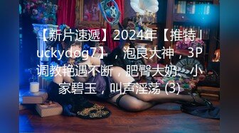 【新片速遞】2024年【推特 luckydog7】，泡良大神，3P调教艳遇不断，肥臀大奶、小家碧玉，叫声淫荡 (3)