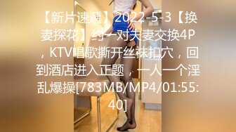 【新片速遞】2022-5-3【换妻探花】约一对夫妻交换4P，KTV唱歌撕开丝袜扣穴，回到酒店进入正题，一人一个淫乱爆操[783MB/MP4/01:55:40]