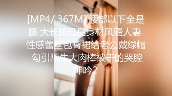 [MP4/ 367M] 腰部以下全是腿 大长腿极品身材风骚人妻 性感蕾丝包臀裙给老公戴绿帽 勾引陌生大肉棒被干的哭腔呻吟2