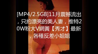 [MP4/2.5GB]11月震撼流出，只約漂亮的美人妻，推特20W粉大V網黃【秀才】最新，各種反差小姐姐