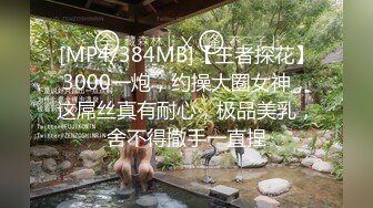 [MP4/384MB]【王者探花】3000一炮，约操大圈女神，这屌丝真有耐心，极品美乳，舍不得撒手一直捏