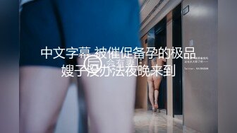 中文字幕 被催促备孕的极品嫂子没办法夜晚来到