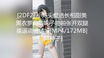 [2DF2] 小陈头星选长相甜美黑衣萝莉萌妹子啪啪张开双腿摸逼调情猛操[MP4/172MB][BT种子]