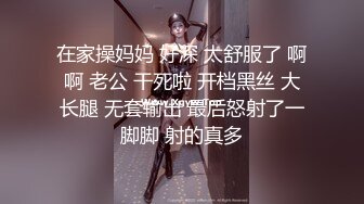 沙发上后入穿渔网丝袜的女友