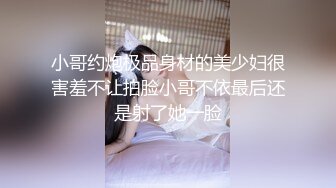 国产麻豆AV MD MD0097 水电工操翻淫荡少妇 性感美少妇 新晋女优 夏晴子