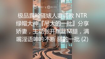 极品露脸骚婊人妻调教 NTR绿帽大神『吊大的一批』分享娇妻，主动张开黑丝M腿，满嘴淫语呻吟不断 骚的一批 (2)