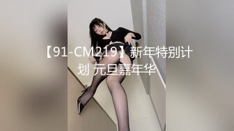 【91-CM219】新年特别计划 元旦嘉年华