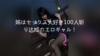 姊はセックス大好き100人斩り达成のエロギャル！