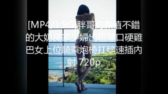 [MP4/ 381M] 包臀裙极品小骚货，撩起头发跪地吃屌，翘起蜜桃美臀后入，第一视角抽插