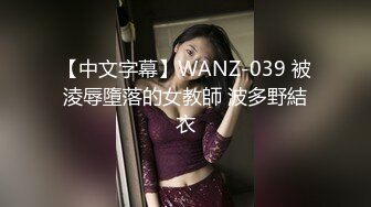 【中文字幕】WANZ-039 被淩辱墮落的女教師 波多野結衣