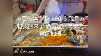 麻豆传媒 MD-190-3 我是苏畅我回来了 酒后蜜屄渴望肉棒的抽插