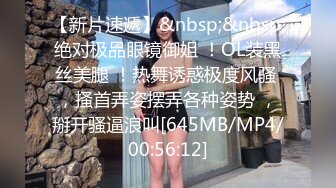 91CM-222.何小丽.说唱巨星的淫谋.91制片厂