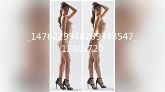 新鲜出炉会所重磅首发 万人求档推推网红亚裔猛女soul69 百变COSER[346P+141V/1.02G]